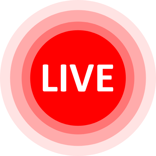 Bunny Live Cam